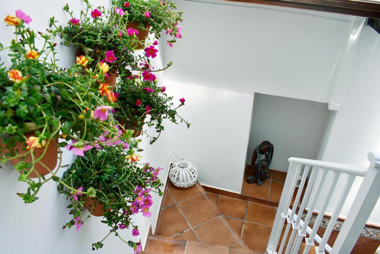 Casa Calma Ronda Estudioアパートメント エクステリア 写真