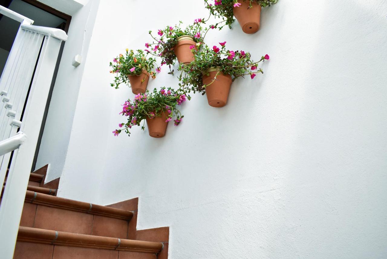 Casa Calma Ronda Estudioアパートメント エクステリア 写真